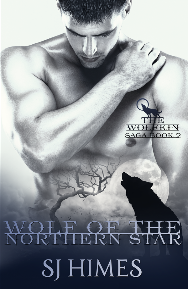 Wolf of the Northern Star - SJ Himes - Wolfkin Saga