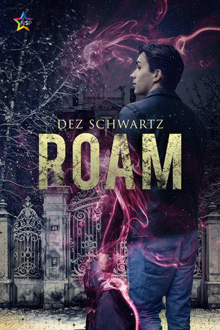 ROAM - Dez Schwartz