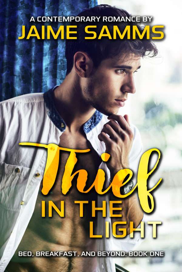 Thief in the Light - Jaime Samms