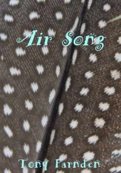 Air Song - Tony Farden