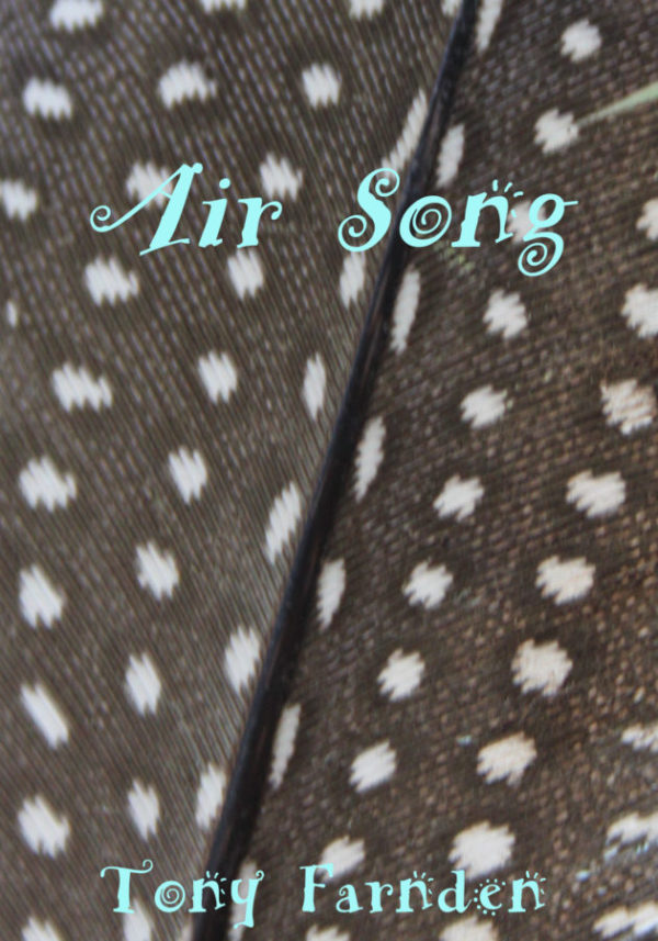 Air Song - Tony Farden