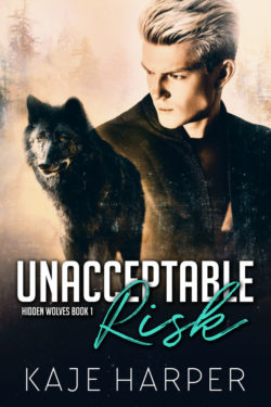 Unacceptable Risk - Kaje Harper