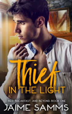 Thief In the Light - Jaime Samms - Bed, Breakfast and Beyond