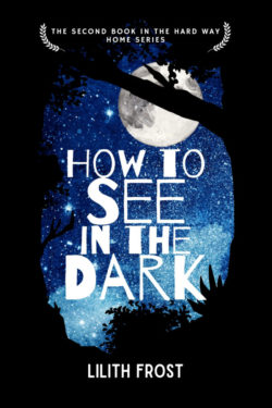 How to See in the Dark - Lilith Frost - Hard Way Home