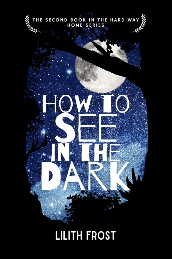 How To See In The Dark - Lilith Frost