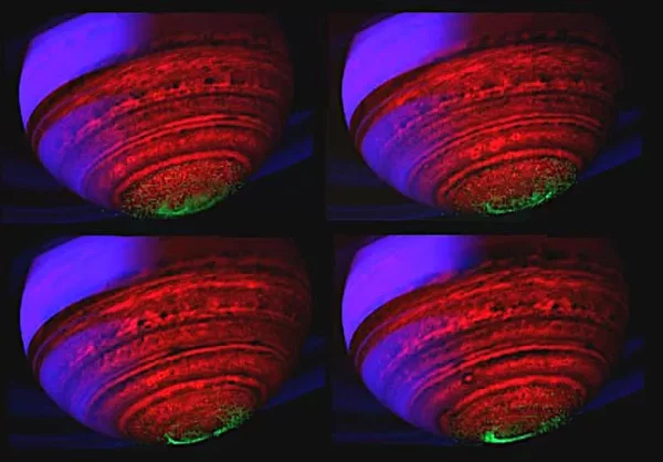 Saturn Auroras - NASA