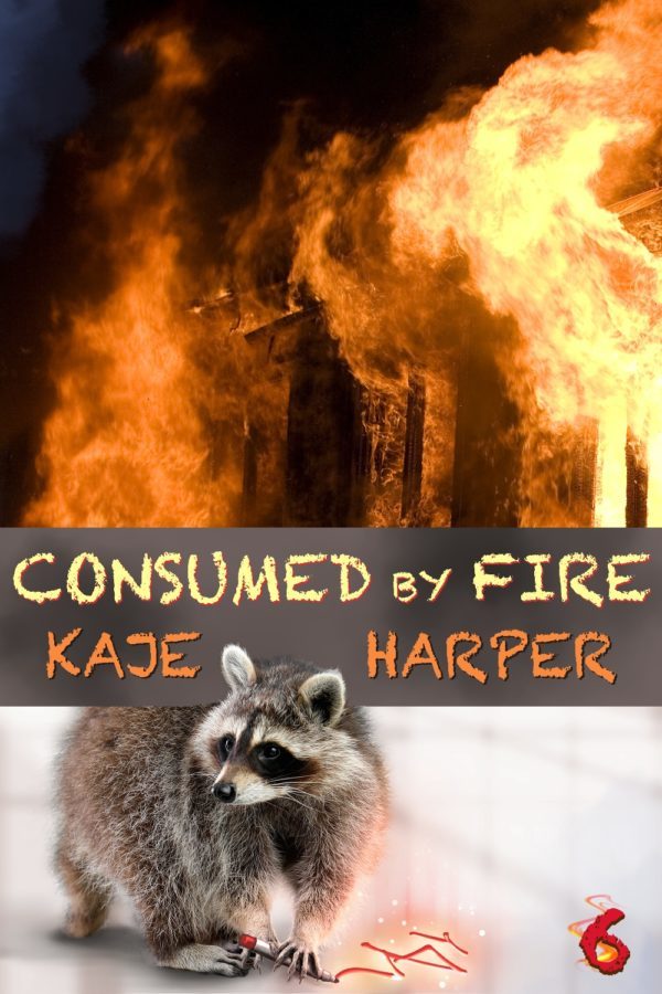 Consumed by Fire - Kaje Harper