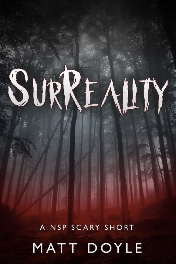 Review: SurReality – Matt Doyle