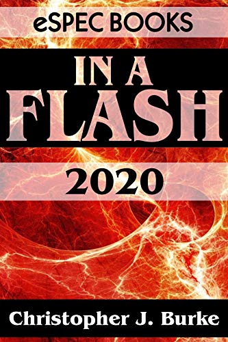 In a Flash 2020 Anthology