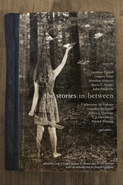 The Stories (in) Between Anthology