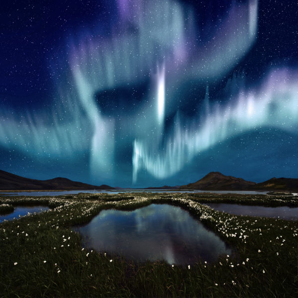 Shimmering blue aurora over marsh - Deposit Photos