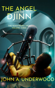 Book Cover: The Angel and the Djinn