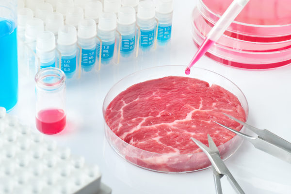 growing meat in a lab - deposit photos
