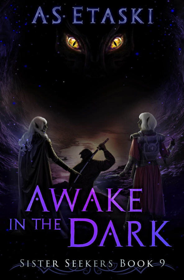 Book Cover: Awake in the Dark: Sister Seekers 9
