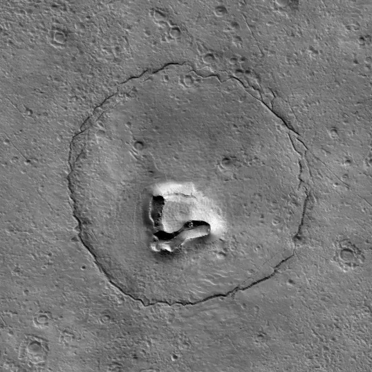 Teddy Bear Rock on Mars - NASA