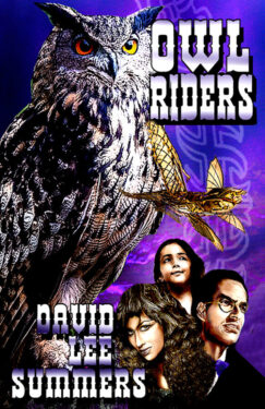 Owl Riders - David Lee Summers