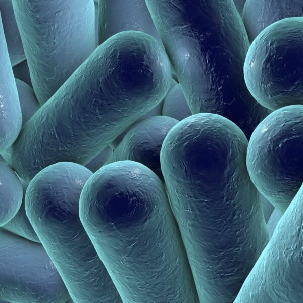 tuberculosis bacterium - deposit photos