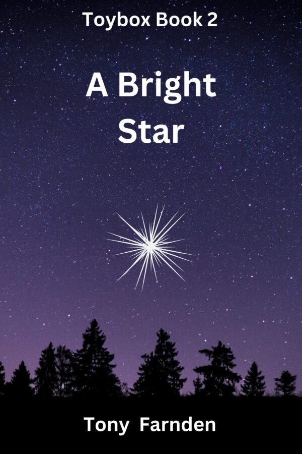 A Bright Star - Tony Farnden - Toybox