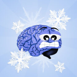 frozen brain - deposit photos