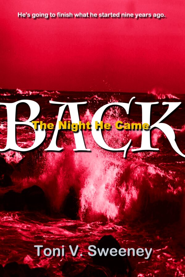 The Night He Came Back - Toni V. Sweeney