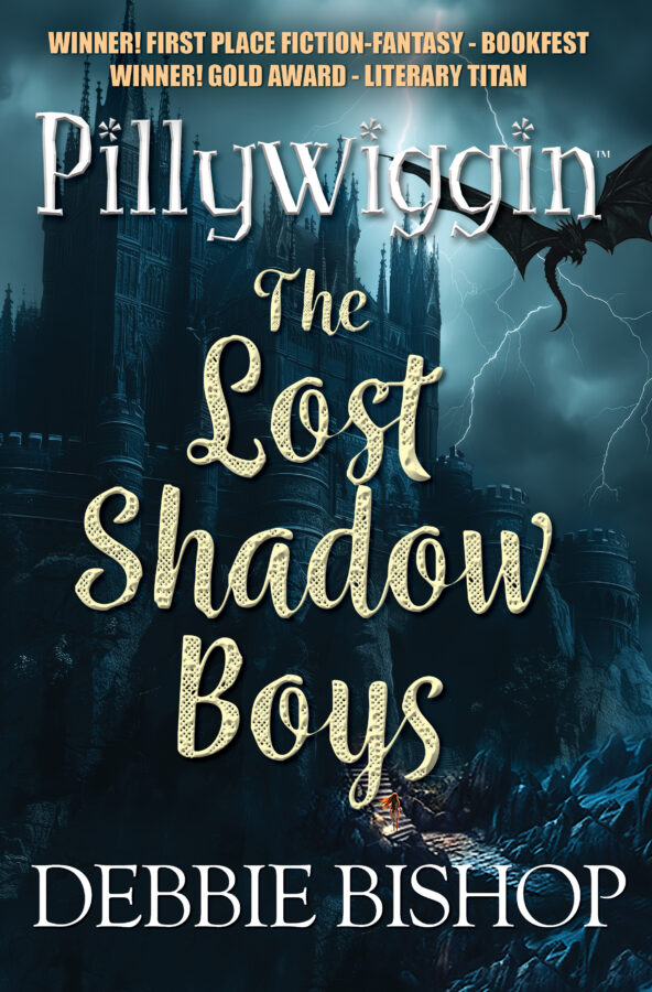 Pillyiggin - Debbie Bishop - The Lost Shadow Boys