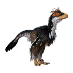 Feathered Dinosaur - deposit photos