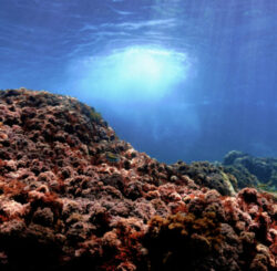 ocean floor - deposit photos