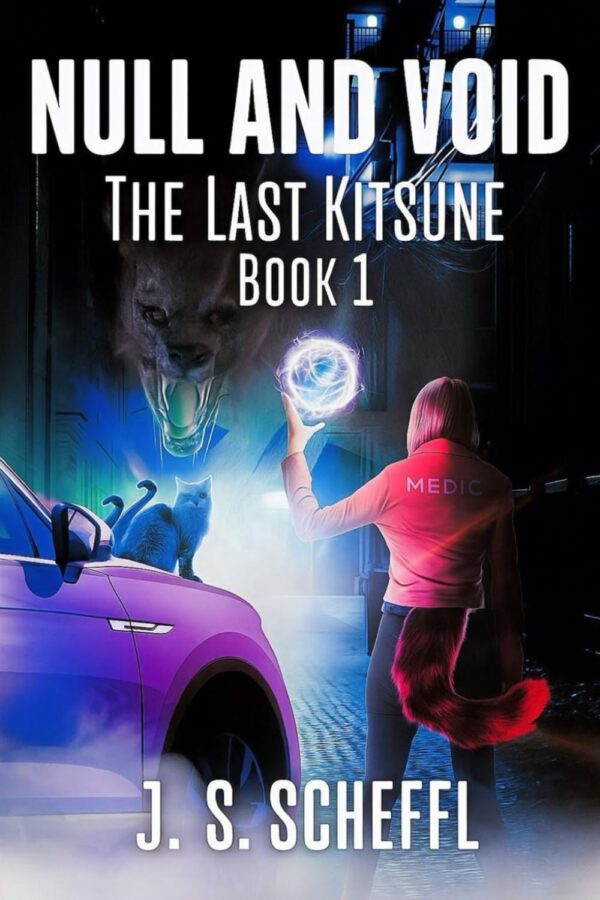 Null and Void - JS Scheffel