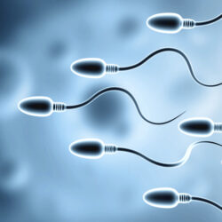 himan sperm - deposit photos