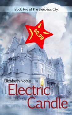 Electric Candle - Elizabeth Noble - The Sleepless City