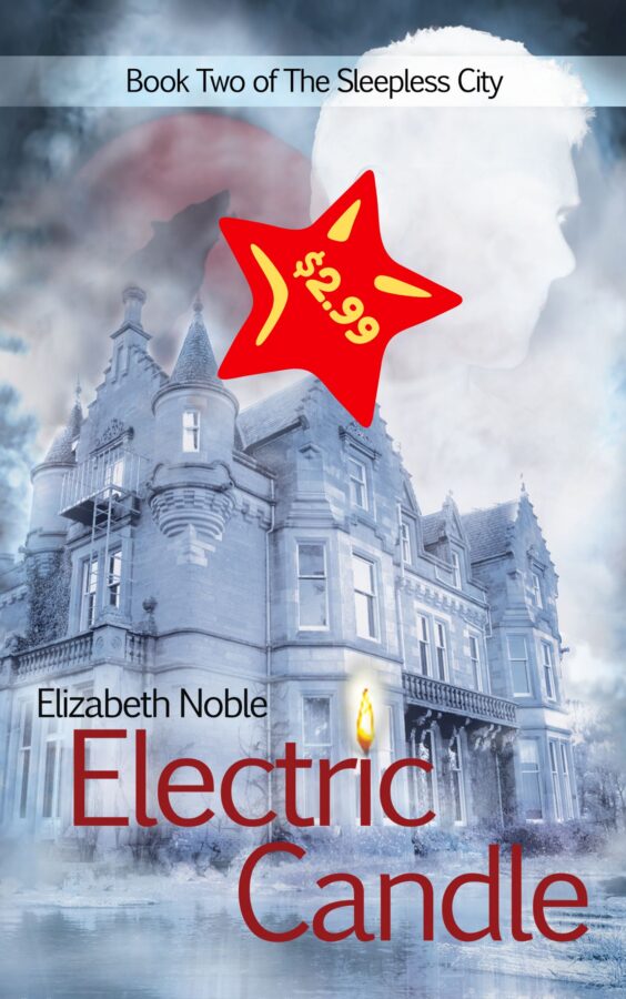 Electric Candle - Elizabeth Noble - The Sleepless City
