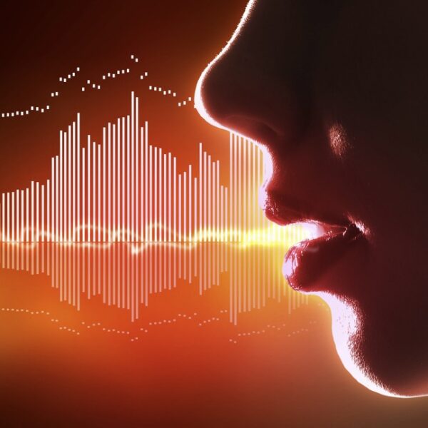 voice - deposit photos