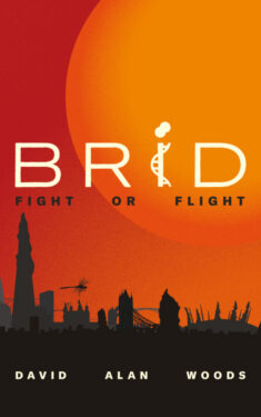 Brid Fight or Flight - David Alan Woods