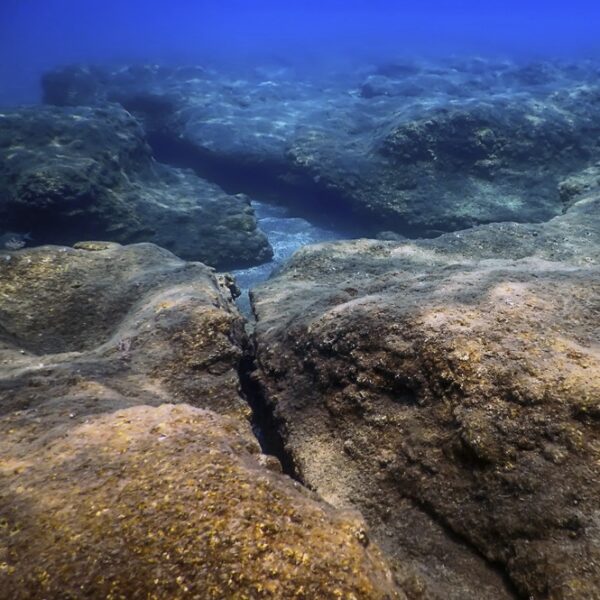 deep sea floor - deposit photos